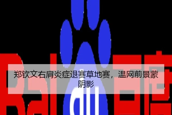 郑钦文右肩炎症退赛草地赛，温网前景蒙阴影