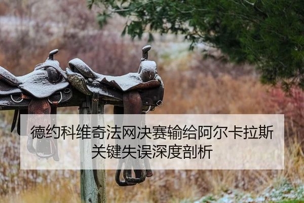 德约科维奇法网决赛输给阿尔卡拉斯 关键失误深度剖析
