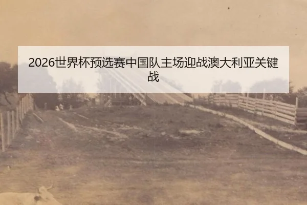 shi-jie-bei-yu-xuan-sai-zhong-guo-dui-zhu-chang-ying-zhan-ao-da-li-ya-guan-jian-zhan-3-243.jpg